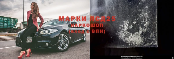 прущие грибы Нягань
