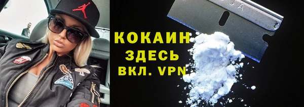 прущие грибы Нягань