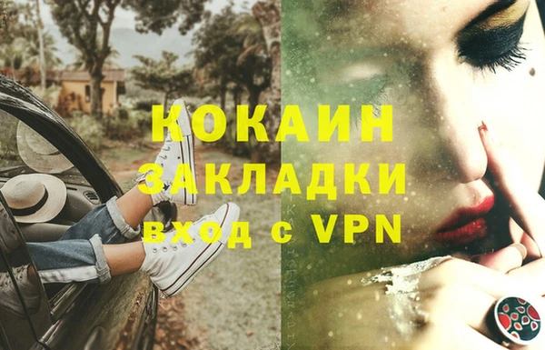прущие грибы Нягань