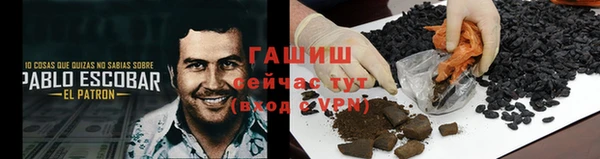 прущие грибы Нягань