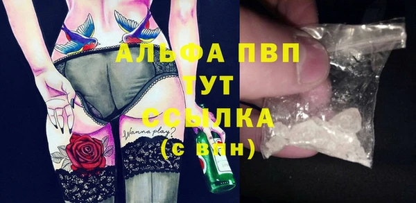прущие грибы Нягань