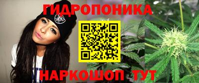 spice Пушкино