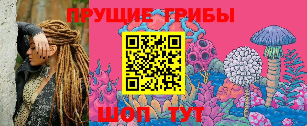 Галлюциногенные грибы Psilocybe Советск