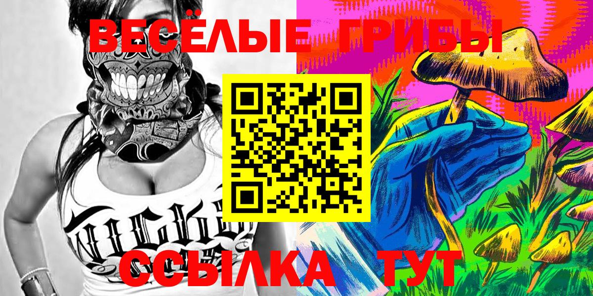 Советск  Псилоцибиновые грибы Psilocybine cubensis  Вход с VPN  Псилоцибиновые грибы Psilocybe 