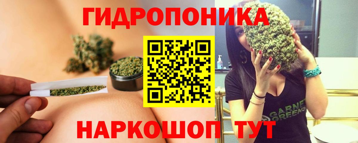 Канабис SATIVA & INDICA Советск